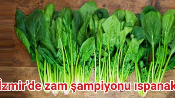 İzmir’de zam şampiyonu ıspanak