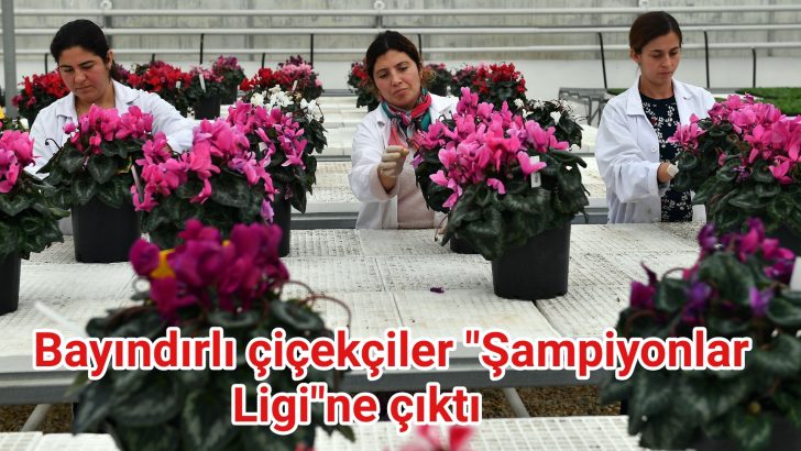 Bayındırlı çiçekçiler “Şampiyonlar Ligi”ne çıktı