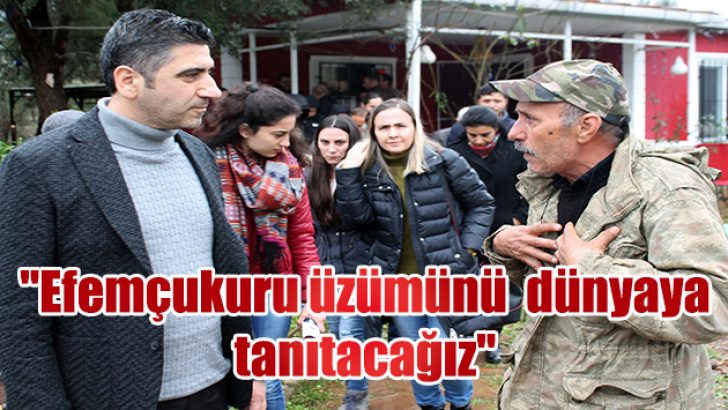 “Efemçukuru üzümünü dünyaya tanıtacağız”