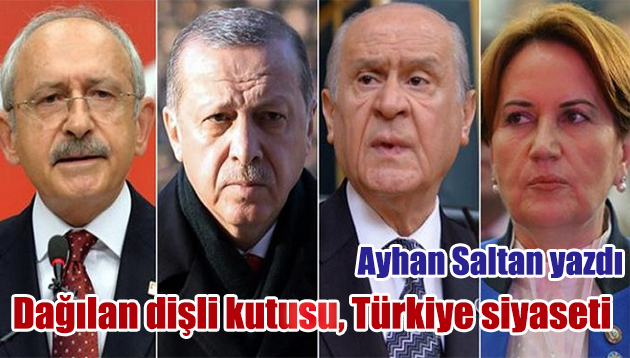 DAĞILAN DİŞLİ KUTUSU , TÜRKİYE SİYASETİ
