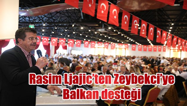 Rasim Ljajic’ten Zeybekci’ye Balkan desteği