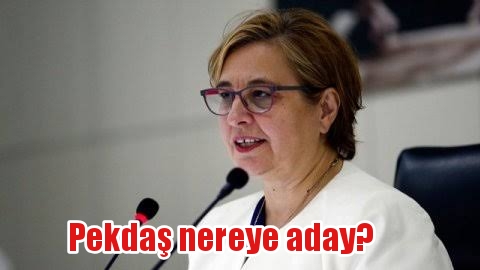 Pekdaş nereye aday?