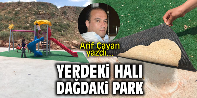 Yerdeki halı, dağdaki park! Arif Çayan yazdı…