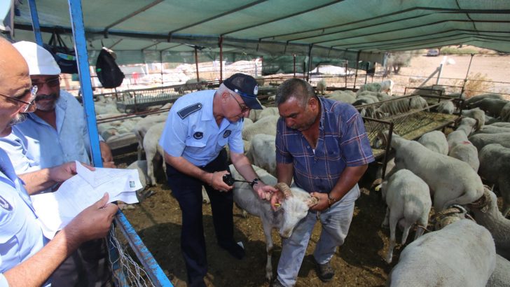 Karabağlar’da kurban kesim ve satış yerleri denetleniyor