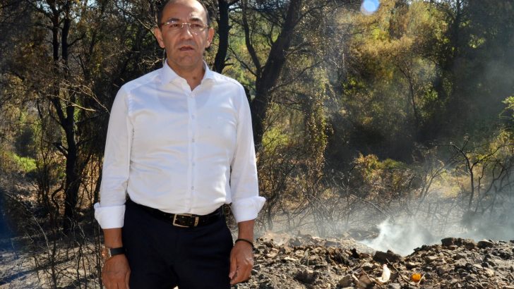 Başkan Oğuz: Yeniden ağaçlandıracağız