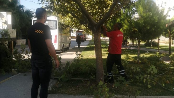 ÇİĞLİ’DE KIŞ HAZIRLIĞI