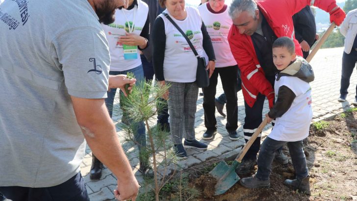 Gönüllülerden fidan seferberliği
