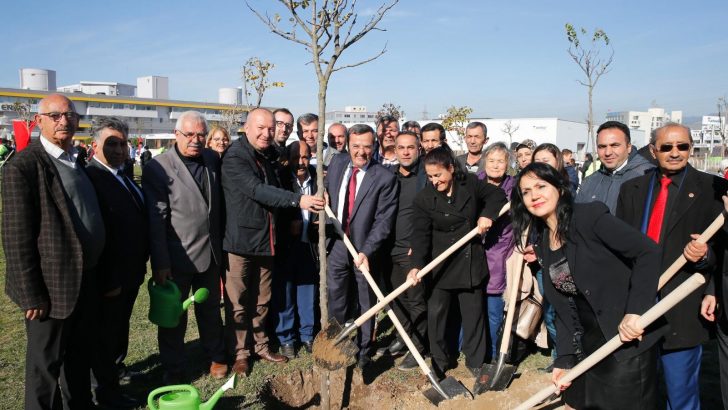 Engelsiz bir dünya için ağaç diktiler