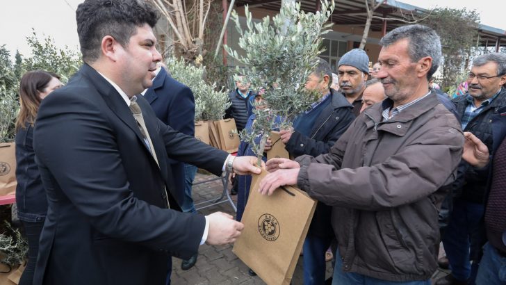 Buca’nın akciğerlerine 1800 zeytin fidanı