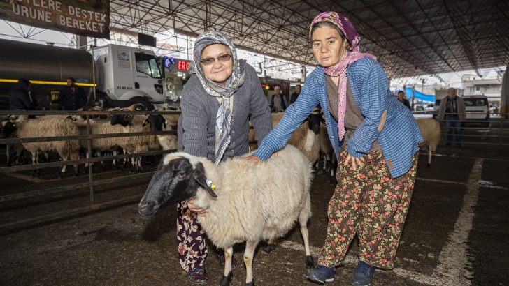 Torbalı’da çiftçilere 173 hayvan dağıtıldı