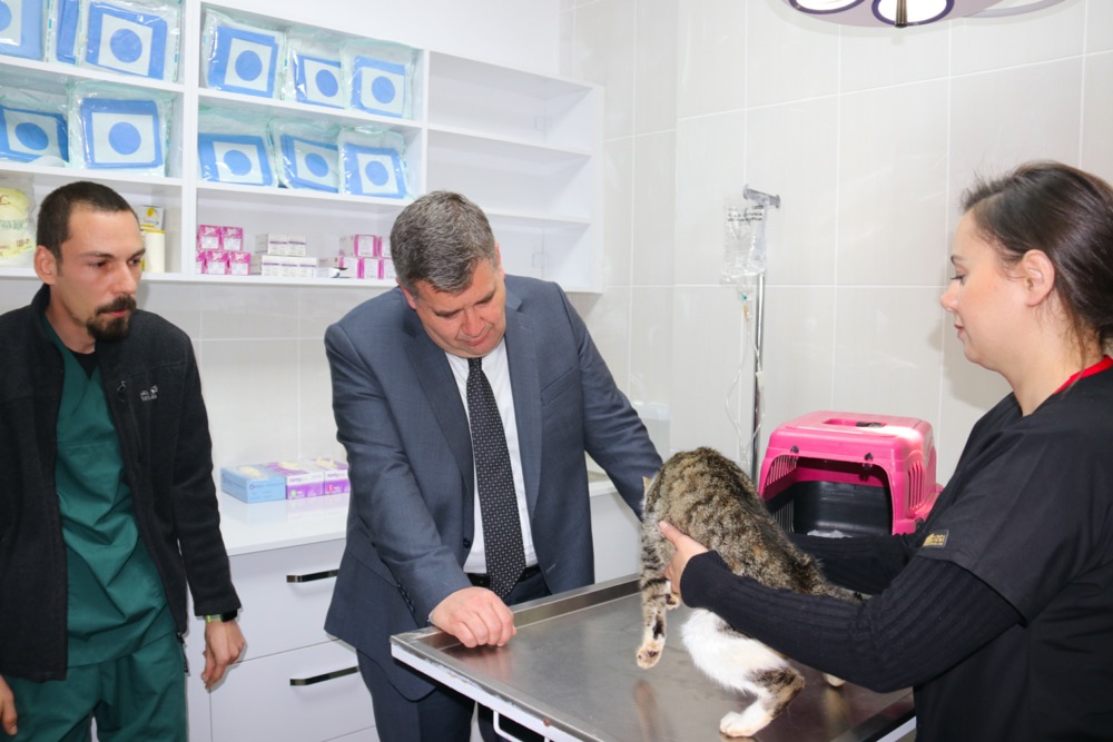Çeşme’de sokak hayvanları için veteriner kliniği açılıyor!