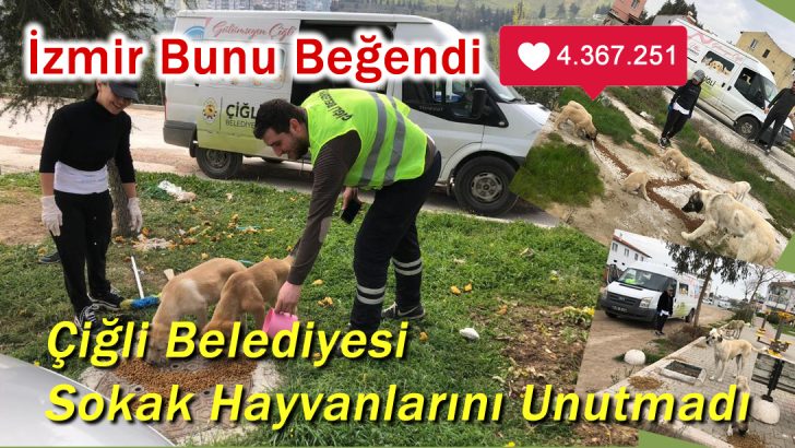 Çiğli Belediyesi Sokak Hayvanlarını Unutmadı