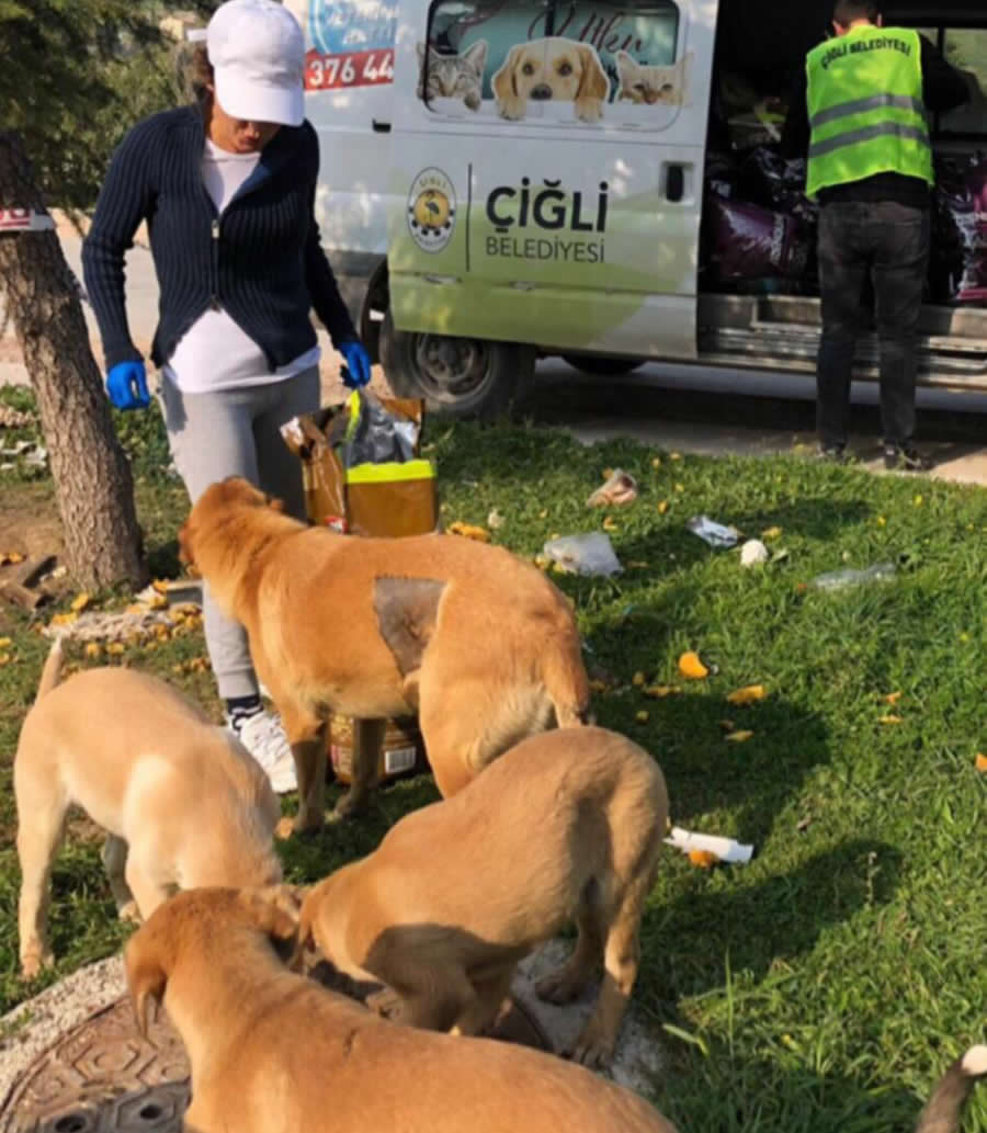 Çiğli Belediyesi Sokak Hayvanlarını Unutmadı
