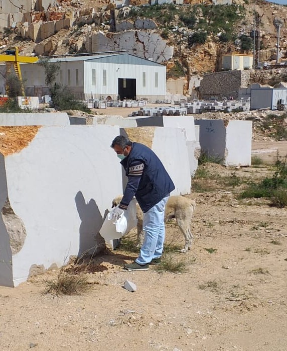 Urla Belediyesi sokak hayvanlarını unutmadı 