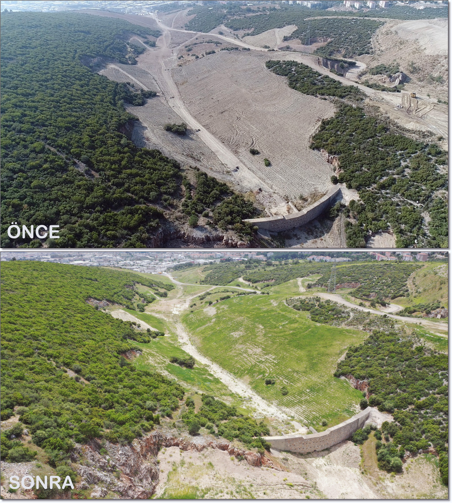  Orman İzmir projesi hız kazanıyor