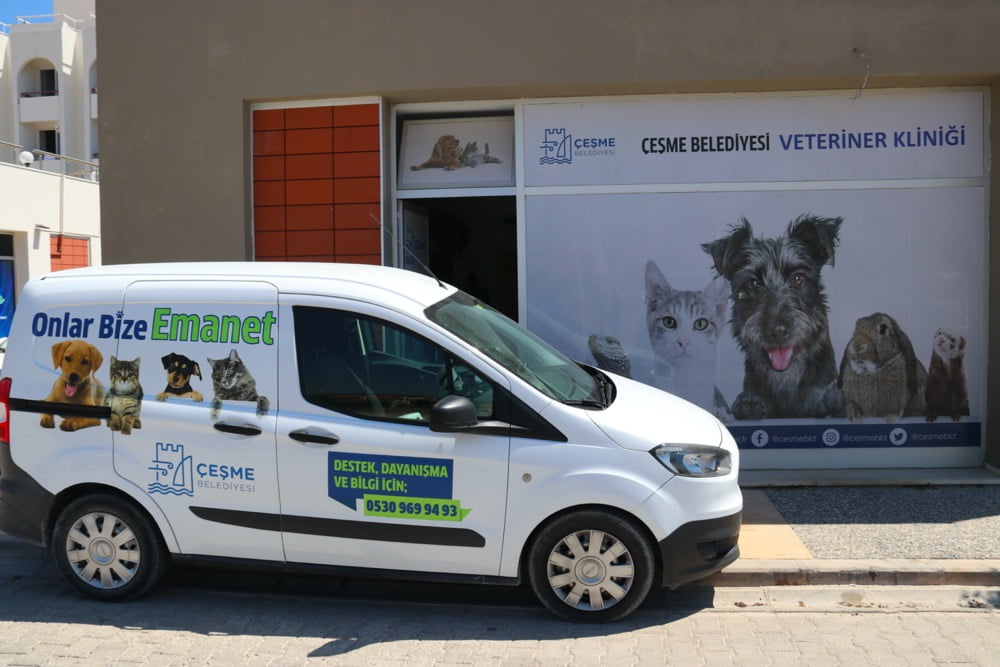 Çeşme Belediyesi’nden sokak hayvanlarına   ücretsiz veterinerlik hizmeti
