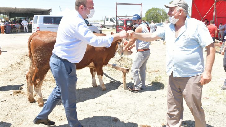 Çiğli Belediyesi Kurban Etlerini İhtiyaç sahiplerine iletiyor