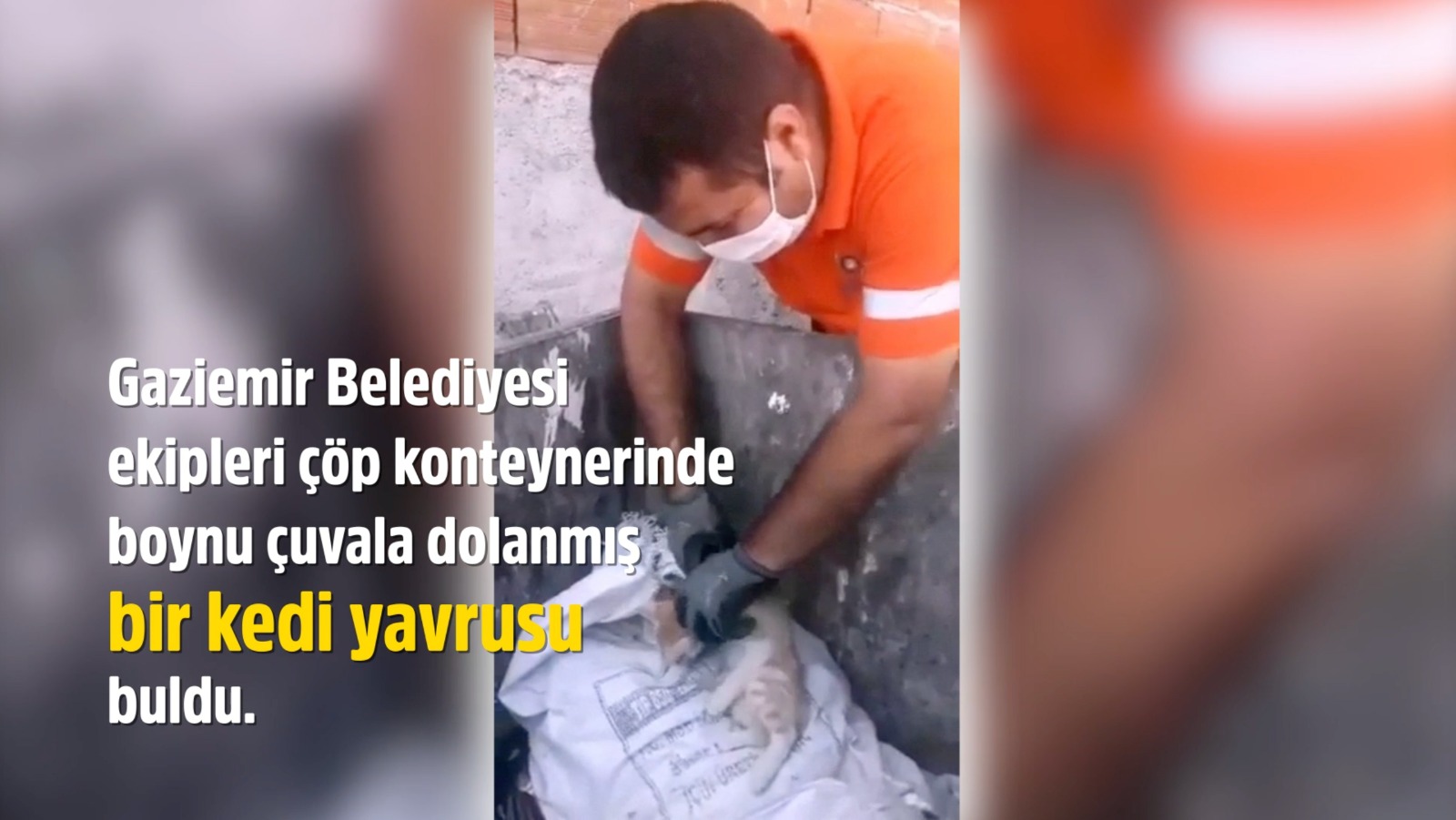 Gaziemir Belediyesi çalışanları yavru kedinin hayatını kurtardı