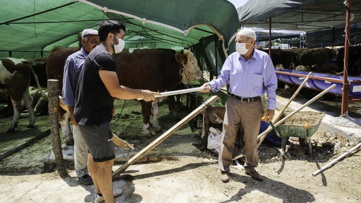 Kurban Bayramı öncesi Buca’da kesim yerleri belli oldu
