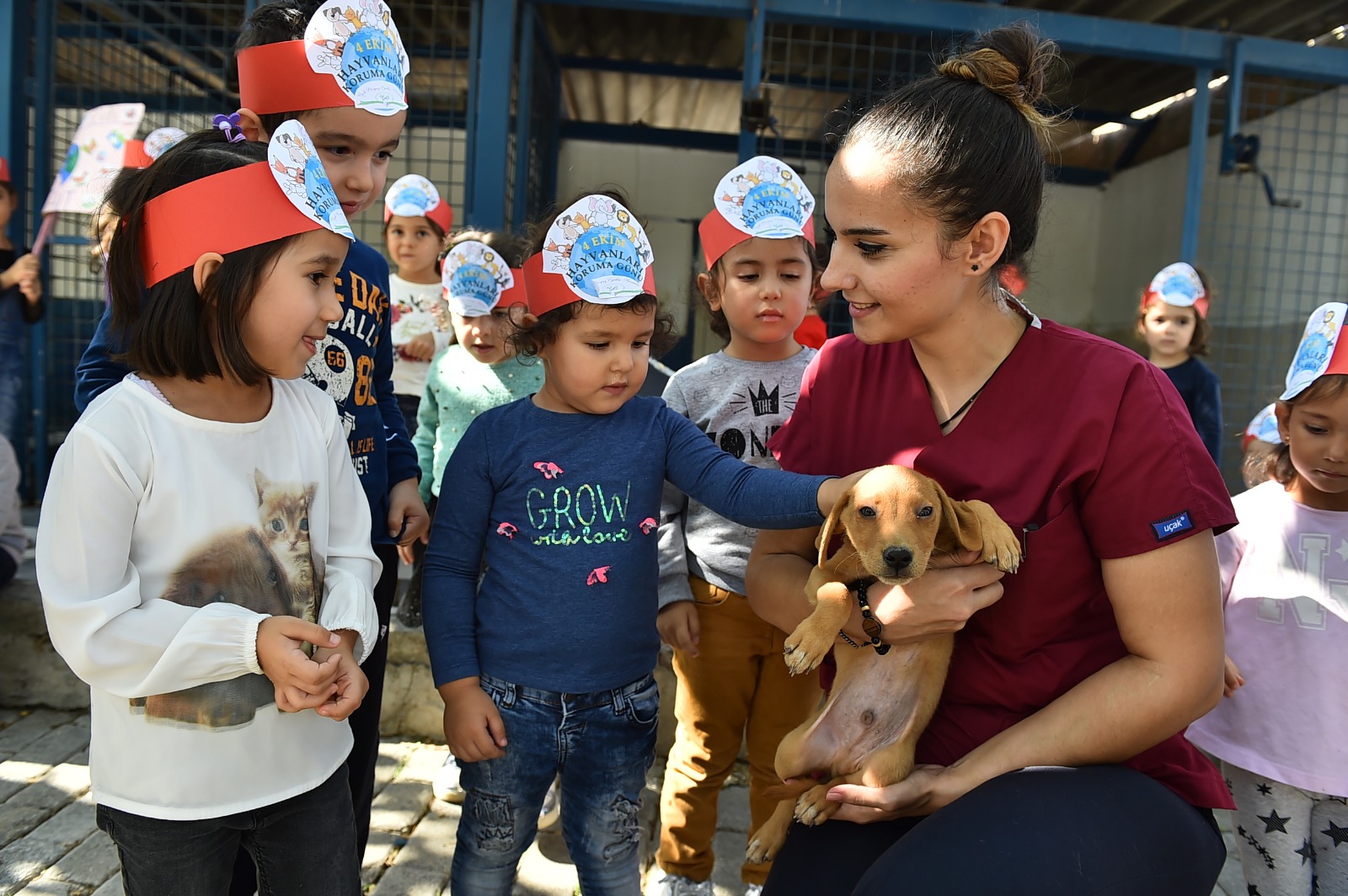 Büyükşehir’den bin 500 köpeğe rehabilitasyon merkezi