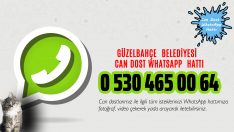 ‘Can Dost WhatsApp Hattı’ Hizmette
