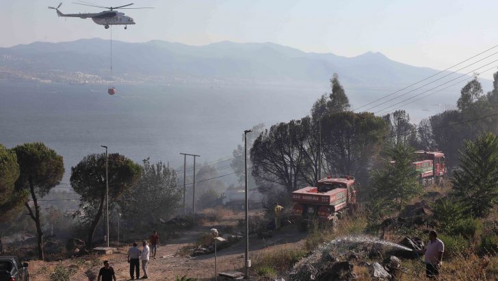 Başkan Sandal’dan ağaçlandırma çağrısı