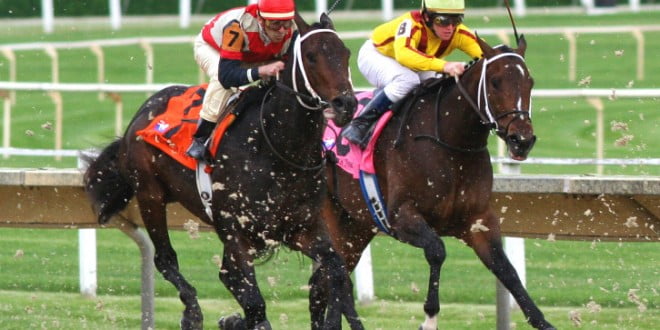 At Yarışı Sonuçları Bursa 21 Ağustos 2020