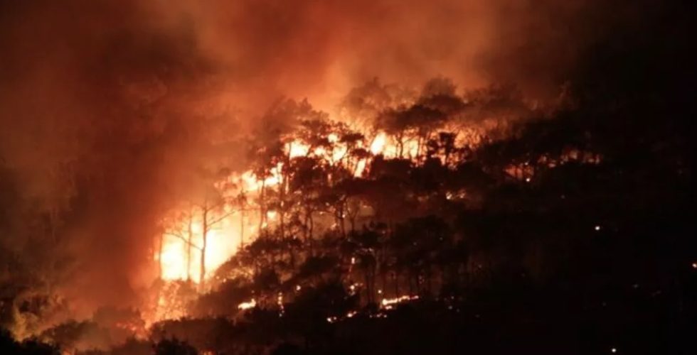Ayvalık orman yangınında son durum