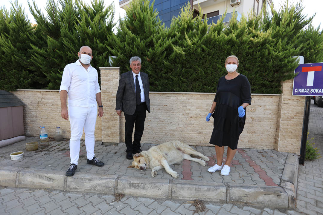 Güzelbahçe Belediyesi Kocabaş isimli sokak köpeğini kanserden kurtaran Elena&Ahmet Gündüz çiftini Güzelbahçe Belediye Başkanı Mustafa İnce evinde ziyaret edip, duyarlılıklarından dolayı teşekkür etti.