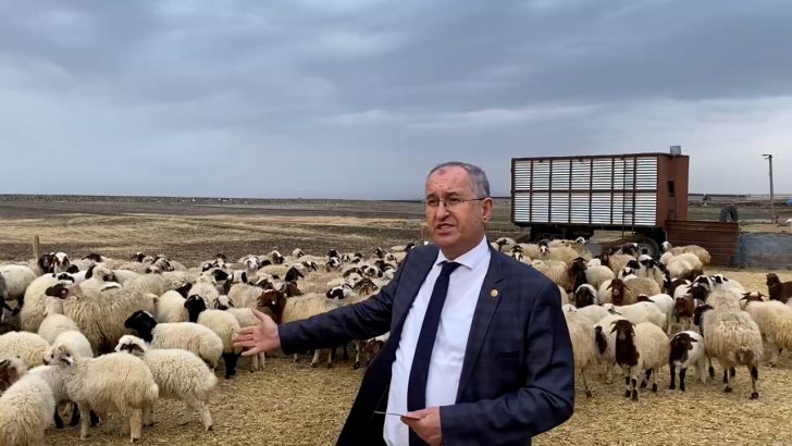 Ziraat Bankası hayvancılıkla ilgili proje başlattı Kars’ı dahil etmedi