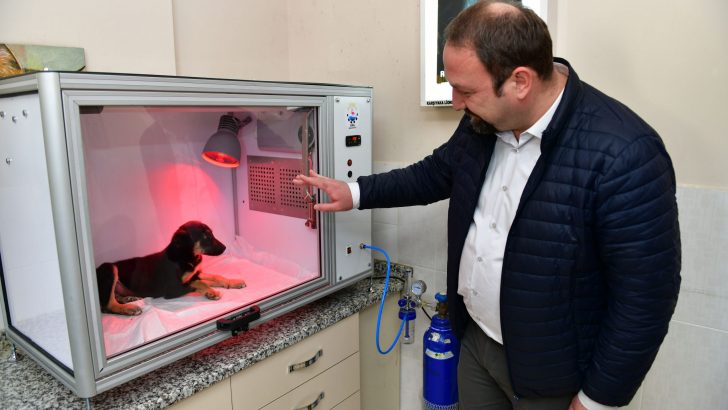 Çiğli Belediyesi’nden Hayvan Dostu Proje: Yoğun Bakım Ünitesi