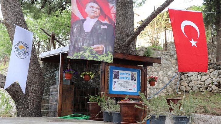 Deniz’in hatırası Kedi Evi’nde yaşayacak…