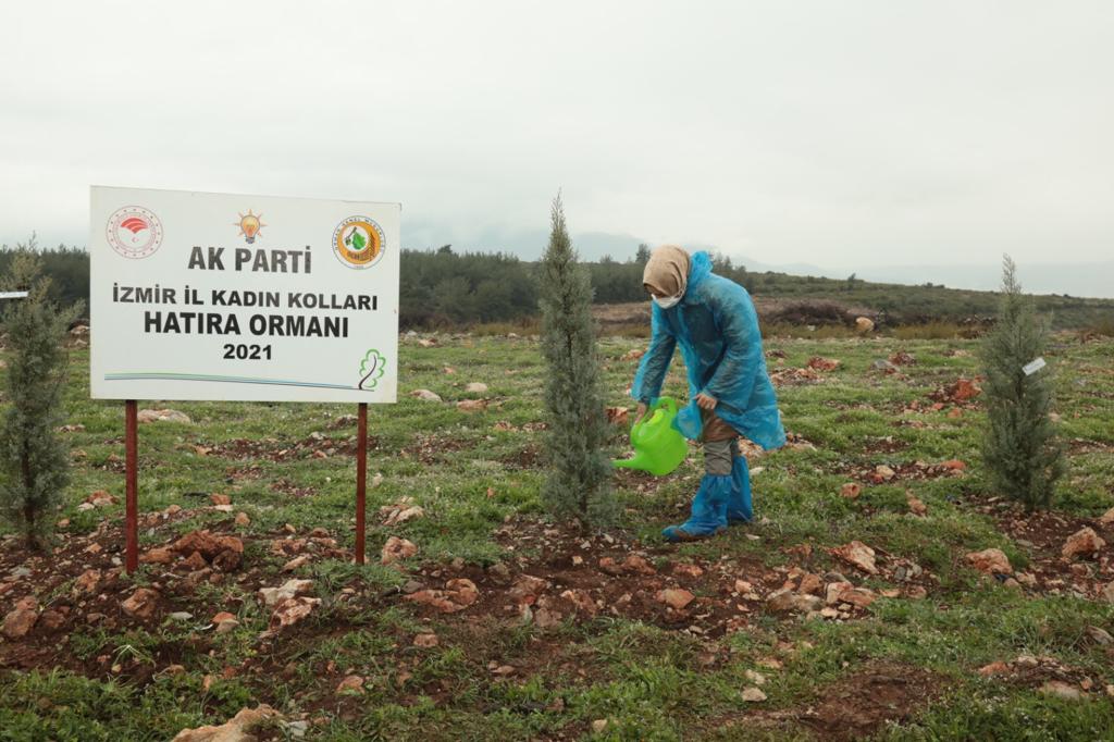 AK Kadın İzmir'den Orman Haftası'nda fidan dikimi