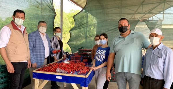 “Kiraz Üreticisini Pandemi Değil Pazara Müdahaleler Bitiriyor”