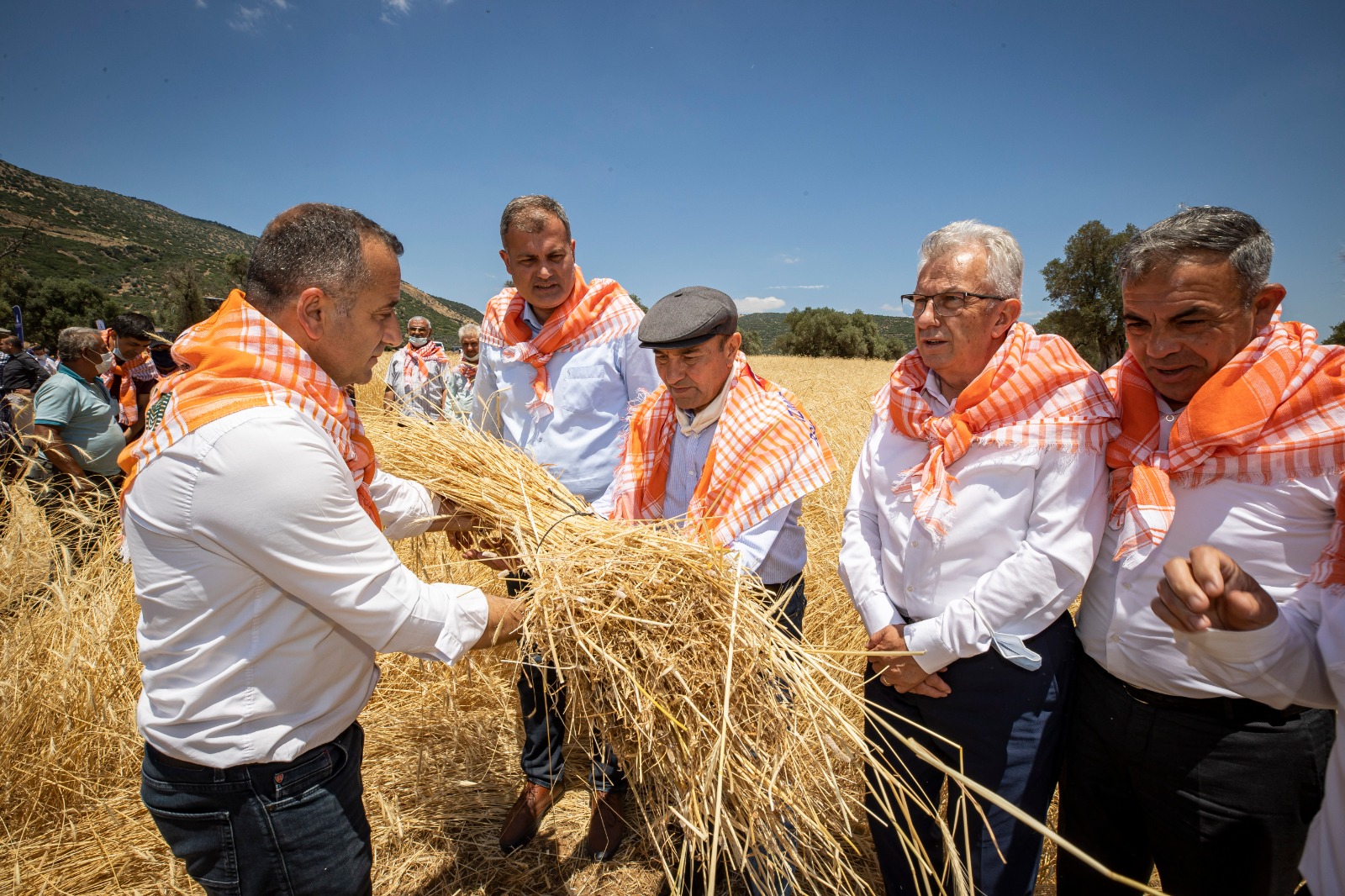Başkan Soyer saz çavdarı hasadına katıldı “Atalık tohumları İzmir'in topraklarıyla buluşturmaya devam ediyoruz”
