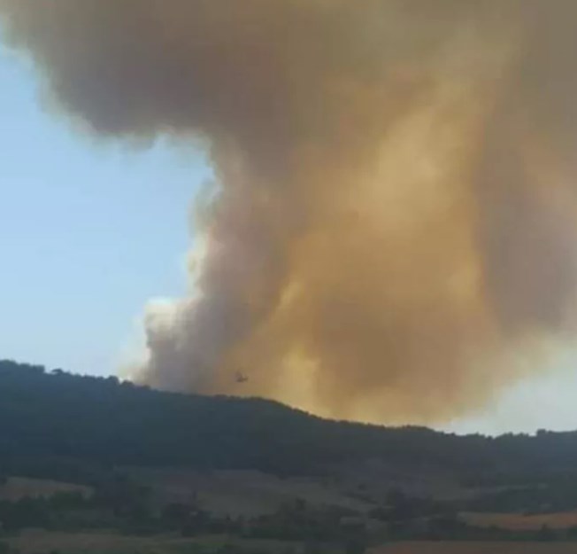 Marmaris Muğla ve Antalya'daki yangınlarla mücadelenin devam ettiğini belirten Tarım ve Orman Bakanı Bekir Pakdemirli, bir yangın haberinin de Isparta'dan geldiğini açıkladı.