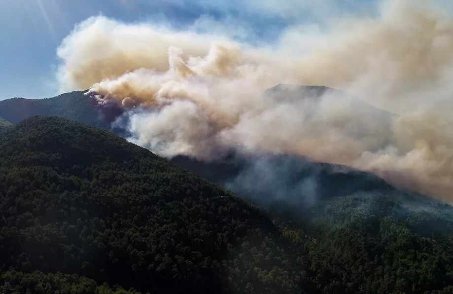 orman Marmaris, Köyceğiz, Milas, Bodrum, Manavgat'ta devam eden yangınlar ile ilgili son durum şu şekilde: