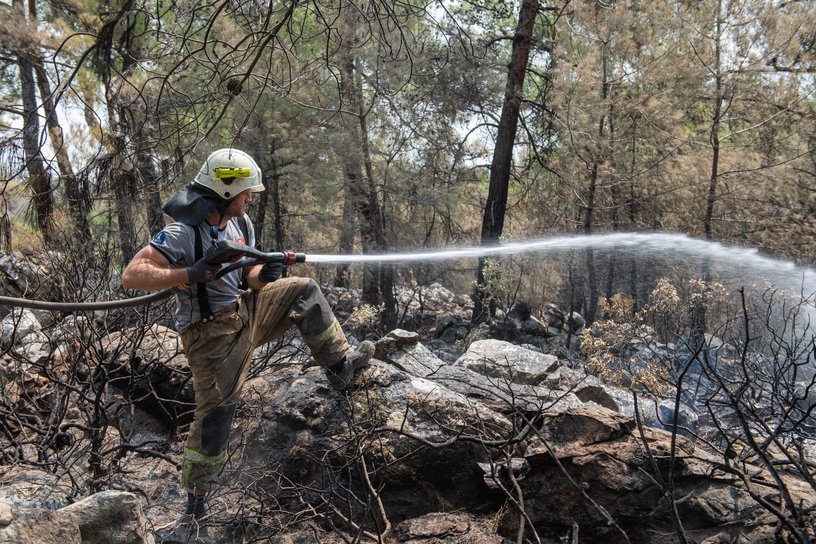 İzmir İtfaiyesi'nden Kissebükü’ndeki  yangına ilk müdahale eden ekip: “Yangını kesmeseydik Bodrum’a kadar giderdi”
