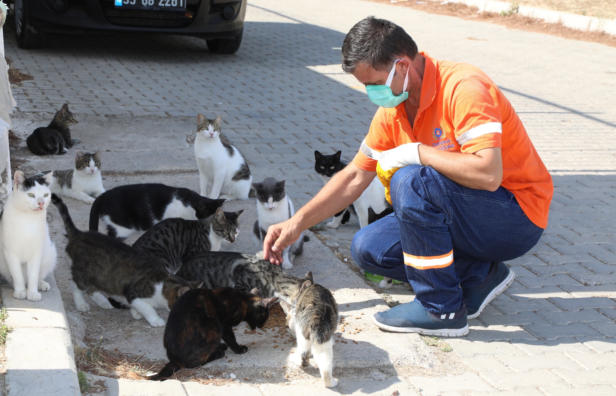 Gaziemir’de 5 bin 304 hayvana şefkat eli uzandı