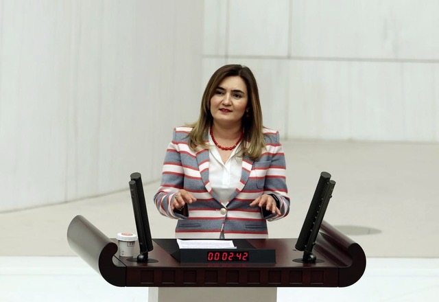 CHP İzmir Milletvekili Av. Sevda Erdan Kılıç:  “İzmir’in onda biri yandı”