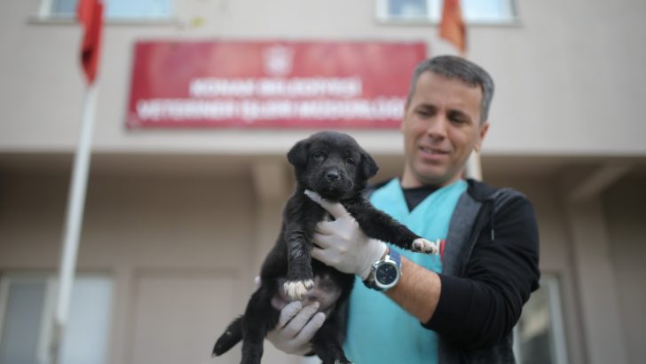 Konak’ta can dostlara Eksiksiz hizmet