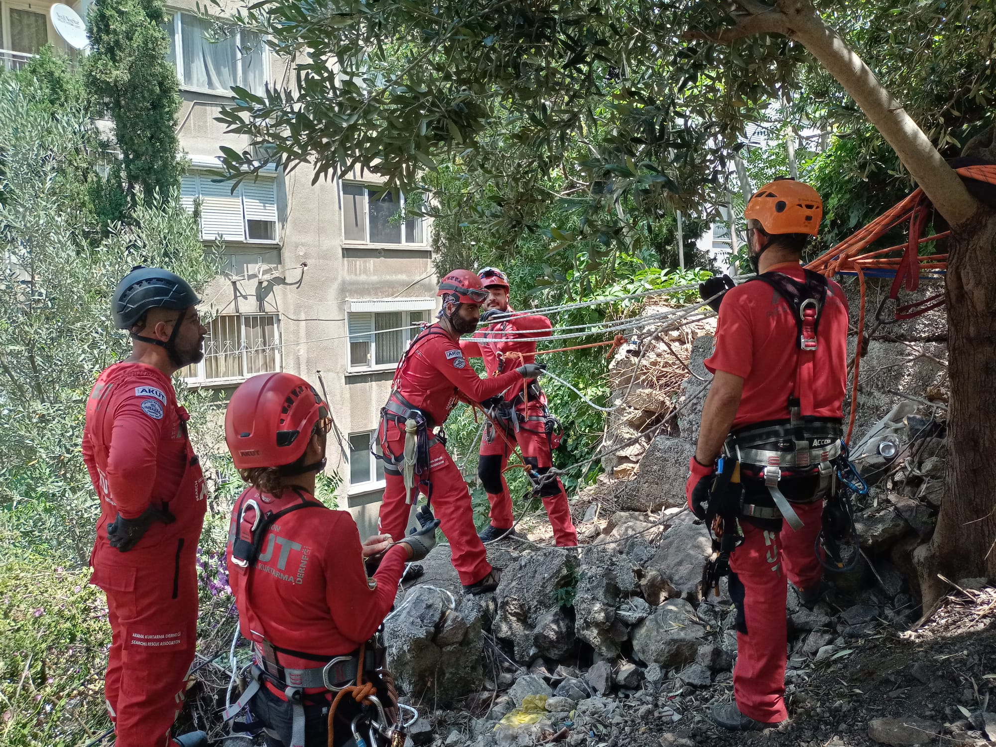 Konak Belediyesi ve AKUT’tan ortak operasyon  “Apartmanın üzerine devrilen ağaç kaldırıldı”