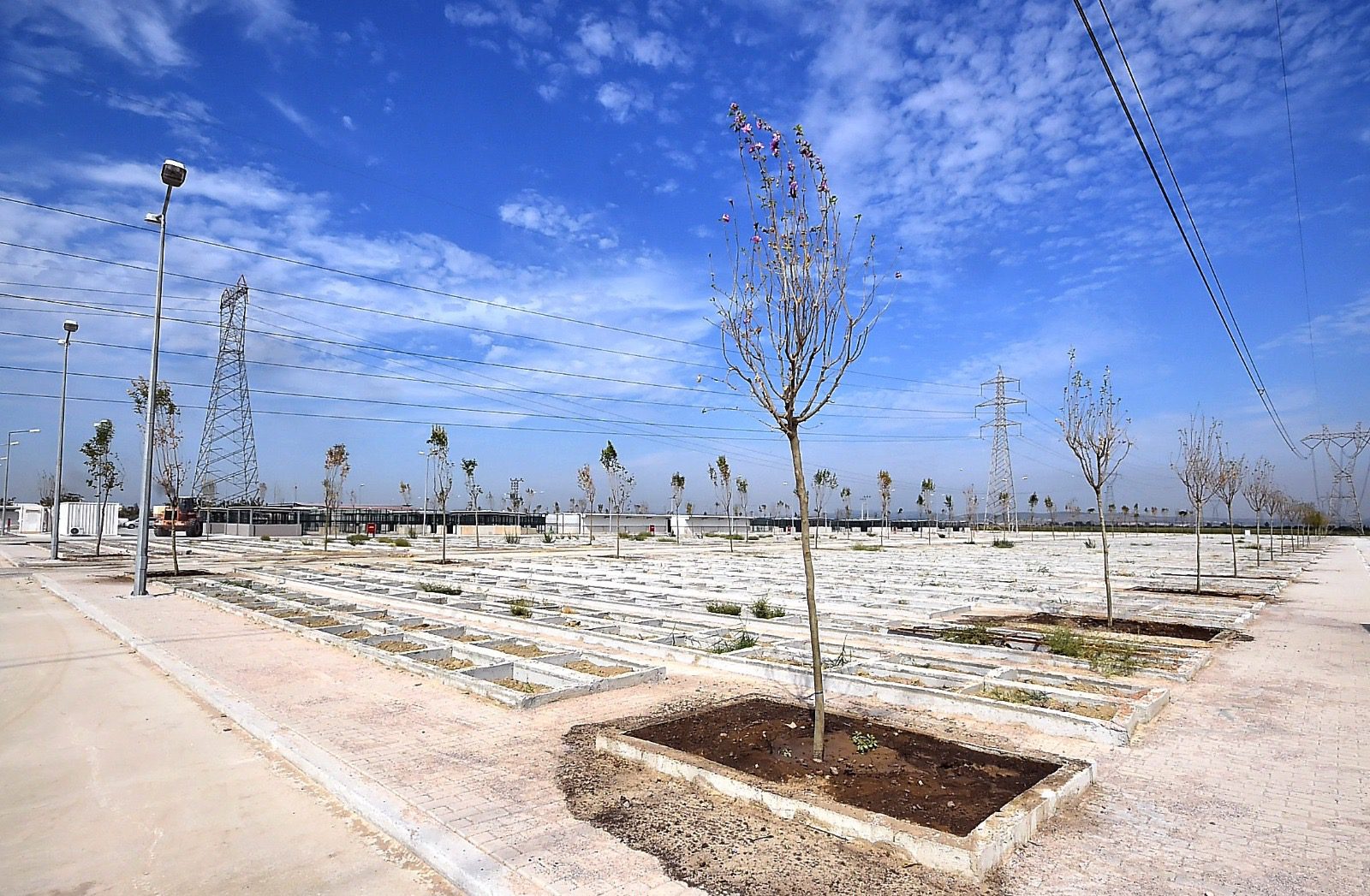 İzmir’in ilk hayvan mezarlığında doluluk oranı yüzde 35’e ulaştı