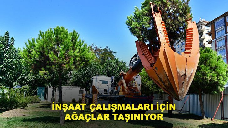 İzmir’de Ağaçlar Yıkılmıyor, Taşınıyor!