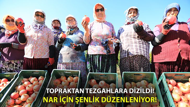 Zeytinköy’de “Nar Neşesi Şen Tanesi” Şenliği başlıyor!