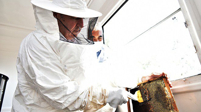 Bornova'da arı yetiştiriciliği anlatıldı!