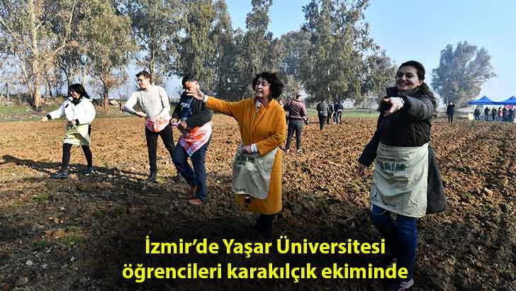 İzmir’de Yaşar Üniversitesi öğrencileri karakılçık ekiminde
