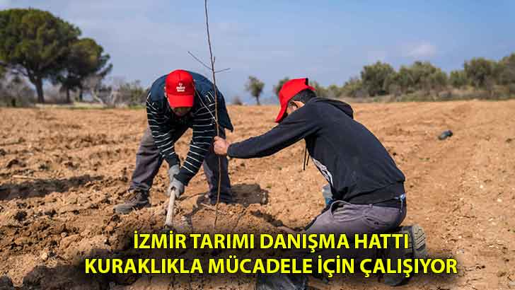 İzmir Tarımı Danışma Hattı kuraklıkla mücadele için çalışıyor
