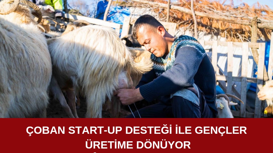 Çoban Start-UP desteği ile üretime dönüyor