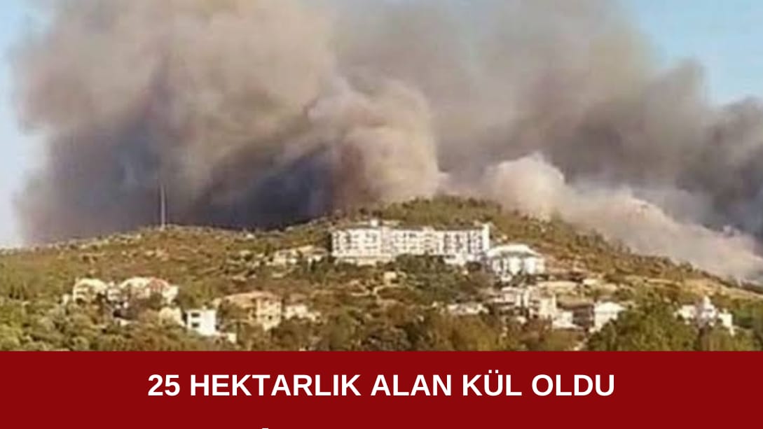 25 Hektarlık alan kül oldu